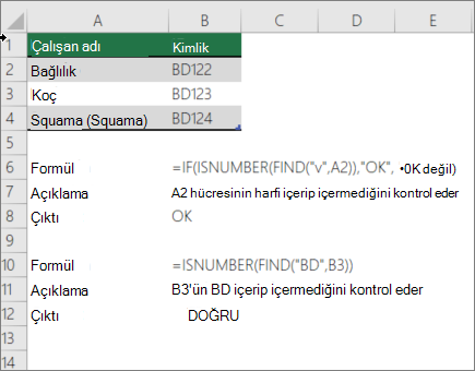 Hücrenin bir bölümünün belirli bir metinle eşleşip eşleşmediğini denetlemek için EĞER, ESAYIYSA ve BUL işlevlerinin kullanıldığı örnek