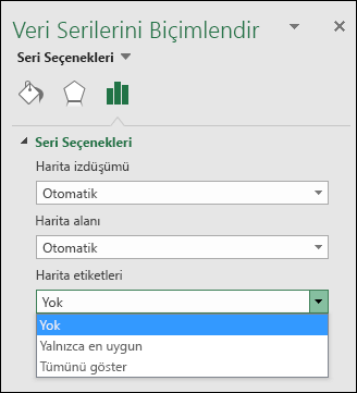 Excel Harita Grafiği Etiket seçenekleri