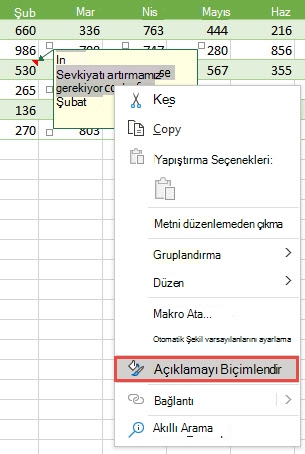 Biçimlendirilecek metni seçerek açıklamayı biçimlendirin, ardından sağ tıklayıp Açıklamayı Biçimlendir'i seçin.