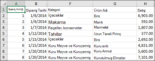 Image of a CSV file