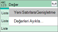 JSON Listesini Genişletme