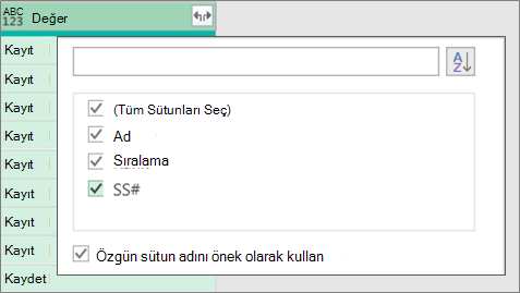 JSON Kaydını Genişletme