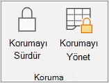Sayfa korumasına devam etme