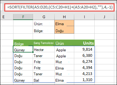 FİLTRE ve SIRALA işlevleri bir arada: Ürüne (Elma) göre veya Bölgeye (Doğu) göre filtreleme