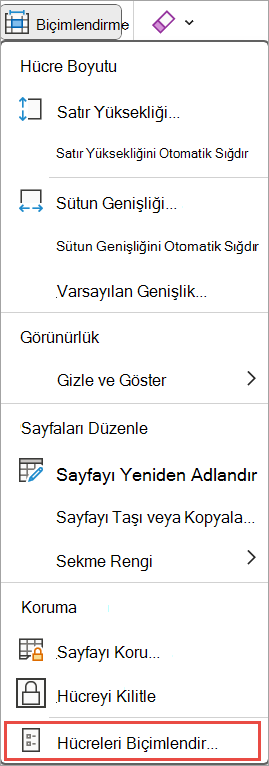 Hücreleri Excel için biçimlendirme