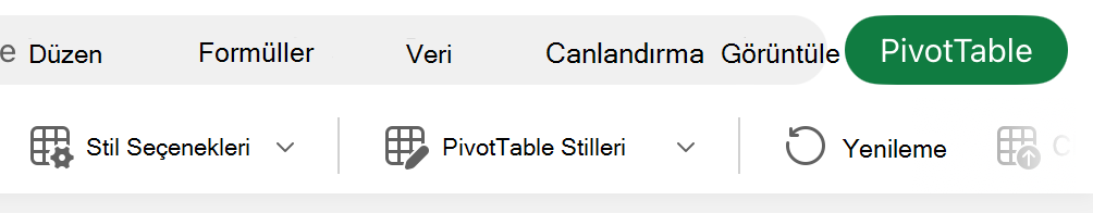 iPad'de Stil Seçenekleri düğmesi