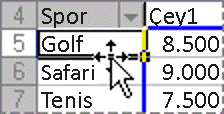 PivotTable raporunda öğe taşıma örneği