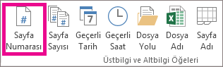 Üstbilgi & Altbilgi Öğeleri grubunda Sayfa Numarası'nı tıklatın