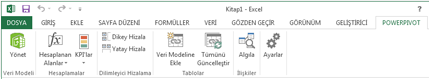 PowerPivot şeridi