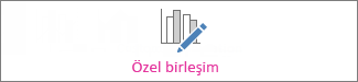 Özel birleşim grafiği