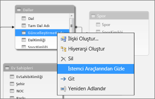 PowerPivot'ta bir sütunu gizleme