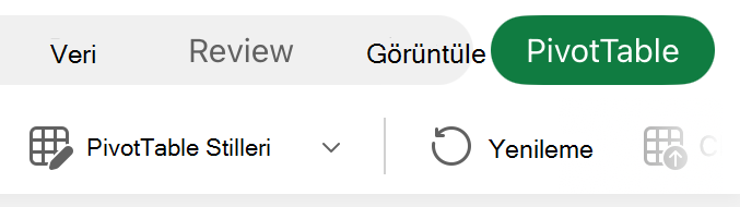 iPad'de PivotTable sekmesi