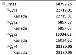 Sıkıştırılmış biçimde PivotTable