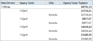 Ana hat biçiminde PivotTable