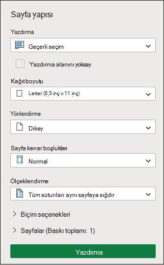 Geçerli Seçimi Yazdır Web için ExcelWeb için Excel
