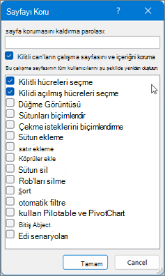 Sayfayı Koru iletişim kutusu