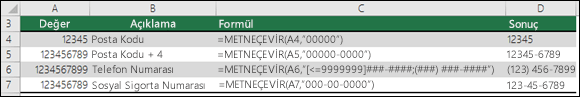 METNEÇEVİR işlevi için özel biçimler