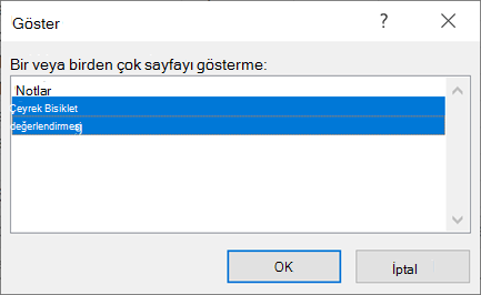 Göster iletişim kutusu.