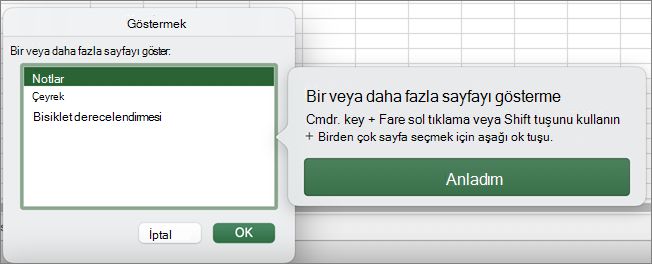 MacOS'u göster.
