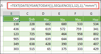 12 aylık dinamik bir liste oluşturmak için METİN, TARİH, YIL, BUGÜN ve SIRALA işlevlerinin bir kombinasyonunu kullanın