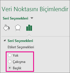 Treemap grafiği için seçenekleri gösteren Veri Etiketini Biçimlendir görev paneli