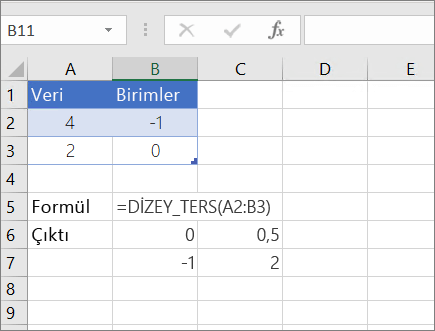 Örnek 1- DİZEY_TERS