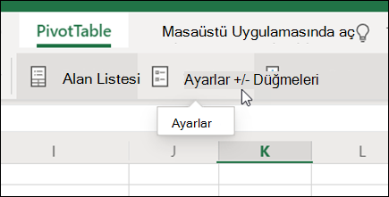 Web için Excel’de PivotTable sekmesindeki Ayarlar düğmesi