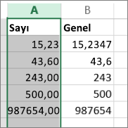 Sayı ve Genel gibi biçimlerde sayıların nasıl göründüğüne dair örnek.