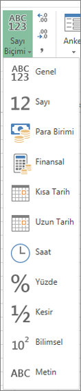 Kullanılabilir sayı biçimleri