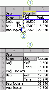 PivotTable raporu düzenini değiştirme örneği