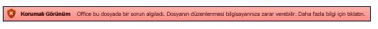 Dosya doğrulama başarısızlığından Korumalı Görünüm