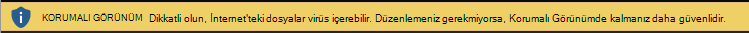 İnternet’ten alınan belgeler için Korumalı Görünüm