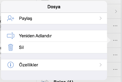 3 nokta düğmesine dokunup Yeniden adlandır'ı seçerek dosyanızı yeniden adlandırın