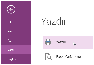 OneNote sayfalarını Yazdır menüsünden yazdırabilirsiniz