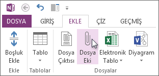 Notlarınıza ek olarak dosya ekleme