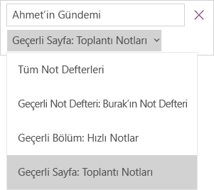 Geçerli sayfanın etkin olduğu kapsam seçenekleriyle, arama açılan menüsünü gösterir.
