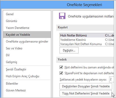 Screenshot of the OneNote Options dialog box in OneNote 2016.