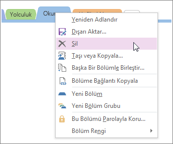 Screenshot of how to delete a section in OneNote 2016.