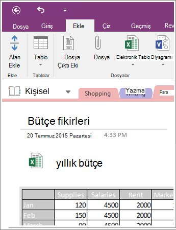 OneNote 2016’da ekli bir elektronik tablonun ekran görüntüsü.
