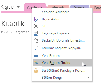OneNote 2016’da yeni bölüm grubu oluşturmanın gösterildiği ekran görüntüsü.