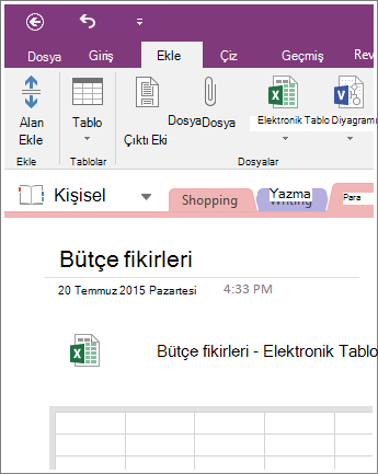 OneNote 2016’da yeni bir elektronik tablonun ekran görüntüsü.