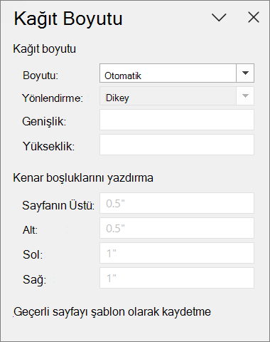 Kağıt Boyutu Bölmesi