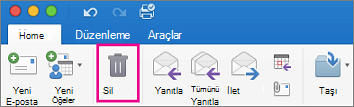 Giriş sekmesinde Sil düğmesine tıklayın
