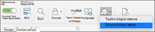 Seçenekler şeridinde Bilgi İste'yi seçin