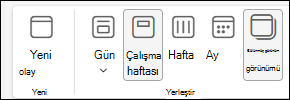 TCalendarCalendar view with Split view seçeneğinin belirlendiği CalendarCalendar'ın ekran görüntüsü
