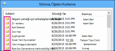 Kurtarılabilir Öğeler klasöründe tüm öğe türlerinin simgesi aynıdır