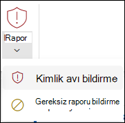 Web üzerinde Outlook'deki klasik şeritte Kimlik Avını Raporla düğmesinin seçili olduğu Raporla düğmesinin ekran görüntüsü.