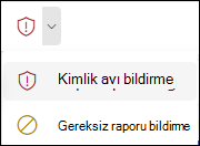 Web üzerinde Outlook'deki basitleştirilmiş şeritte Kimlik Avını Raporla düğmesinin seçili olduğu Raporla düğmesinin ekran görüntüsü.