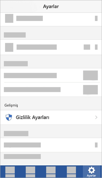 iOS'ta Gizlilik Ayarları seçeneğini gösteren ekran görüntüsü