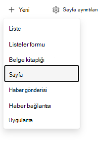 Sayfa girdi noktası oluşturma